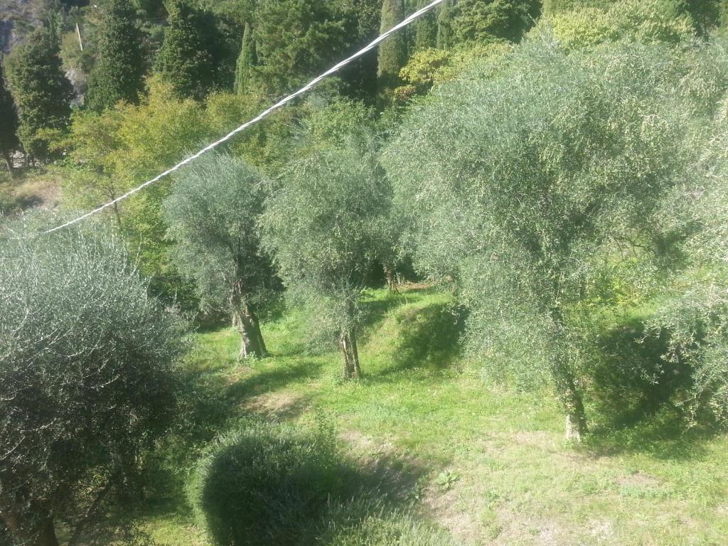 Camera Doppia con Letti Singoli con Vista Montagna